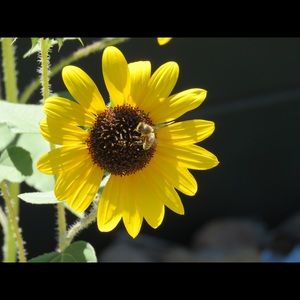 Meet your Posher, Paula