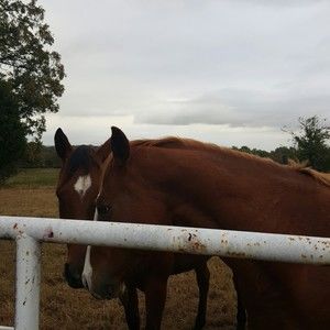 Meet your Posher, Loretta