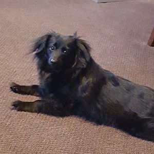 Meet your Posher, Aimee