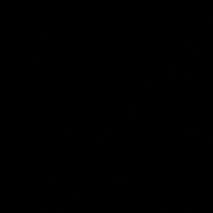 Meet your Posher, Jacqui