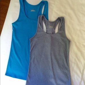 Pair of UA Victory Workout Tanks, Size Small
