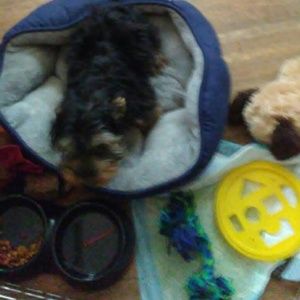 Meet your Posher, Maribel