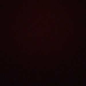 Meet your Posher, Elissa