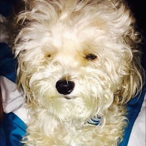 Meet your Posher, Terrance