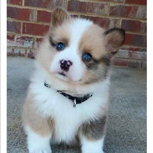 Meet your Posher, Kari