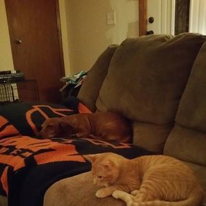 Meet your Posher, Hilary