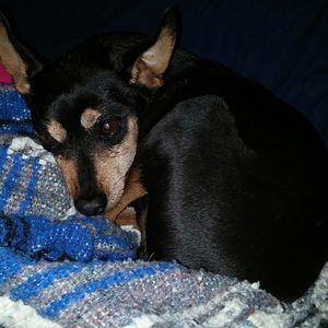 Meet your Posher, Toni