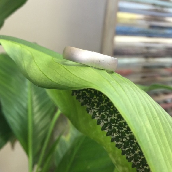 JJ058 - Picture 2 of 2