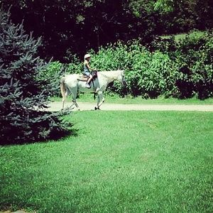 Meet your Posher, Melinda