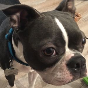 Meet your Posher, Christina