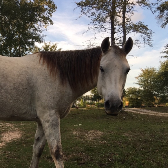 Meet your Posher, Lynn