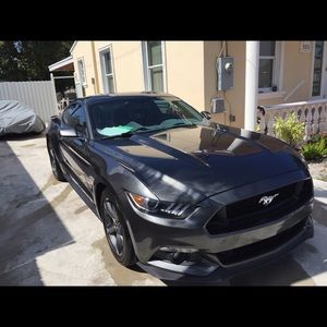 Meet your Posher, Pedro