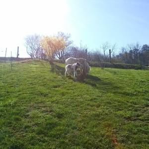 Meet your Posher, Hazel