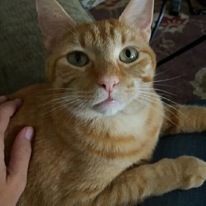 Meet your Posher, Staci