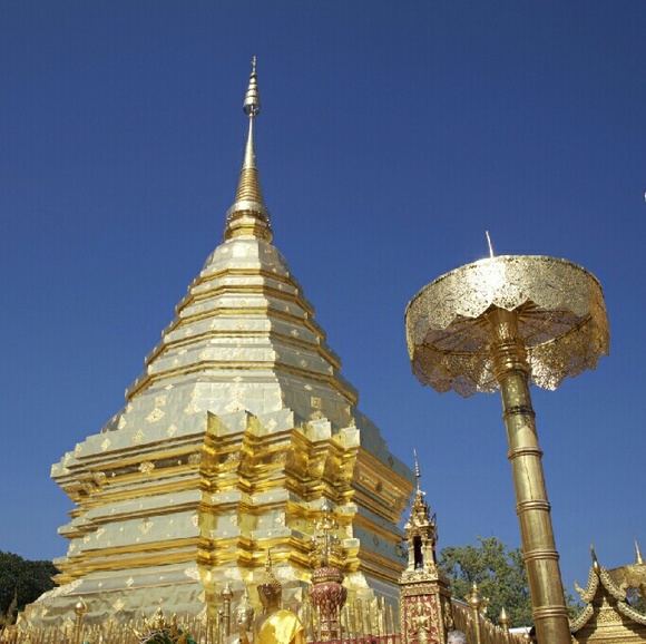 Meet your Posher, Nadim - Picture 2 of 4