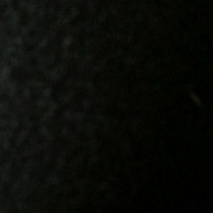 Meet your Posher, Rosa