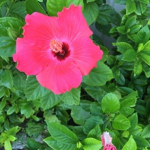 Meet your Posher, Sonia