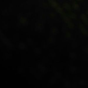 Meet your Posher, Myles