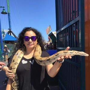 Meet your Posher, Elvia