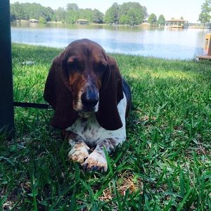 Meet your Posher, Brantley