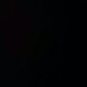 Meet your Posher, Ray