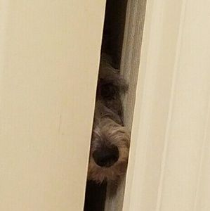 Meet your Posher, Kellene