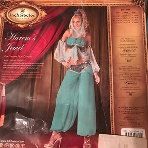 Jeanie or Harem costume
