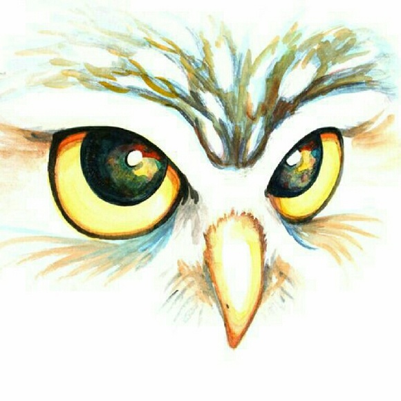 Meet your Posher, Tiphani a - Picture 1 of 1