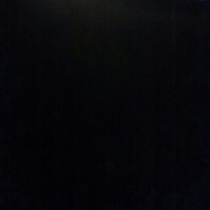 Meet your Posher, Lili