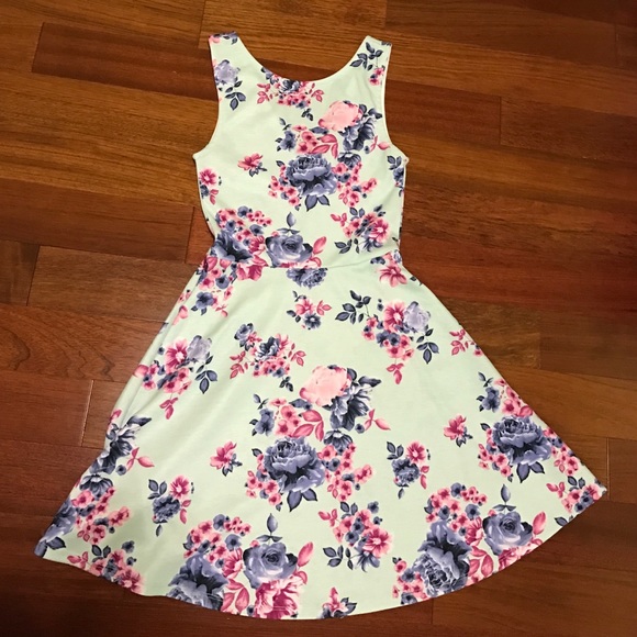 Blue Floral Skater Dress