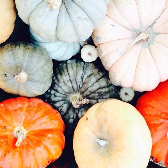 🍂FALL SALE🍂