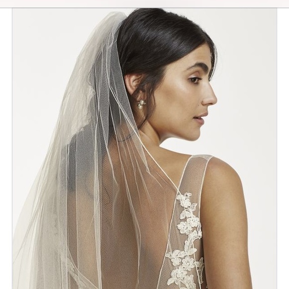 David's bridal Chapel length veil.