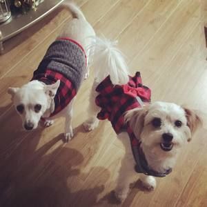 Meet your Posher, Rachelle