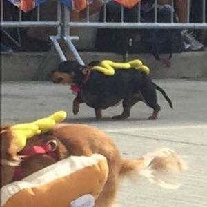 Meet your Posher, Piper