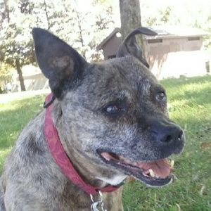 Meet your Posher, Nichole