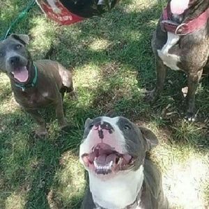 Meet your Posher, Jerome