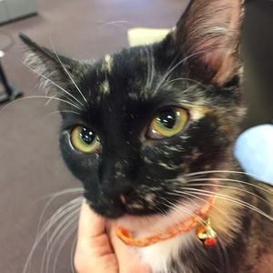 Meet your Posher, Jessica