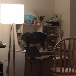 Meet your Posher, Robin