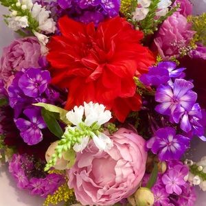 Bundle for @glovegroupie