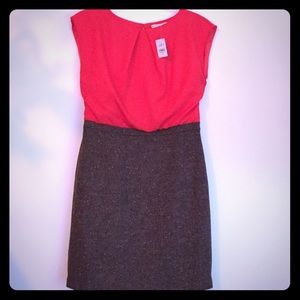 Ann Taylor LOFT-NWT size 8p