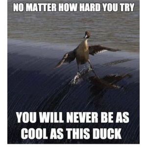 Meet your Posher, Aiden