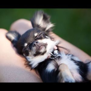 Meet your Posher, Jd