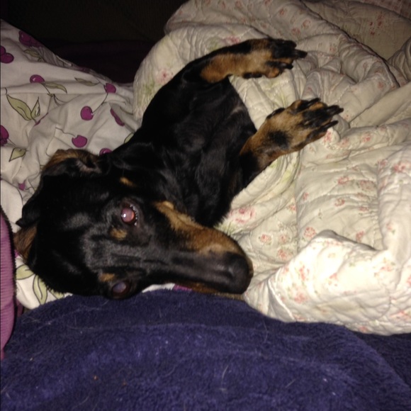 Meet your Posher, Thea