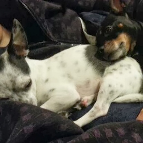 Meet your Posher, Penelope