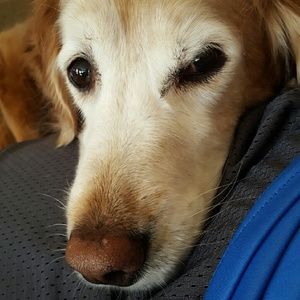 Meet your Posher, Karin