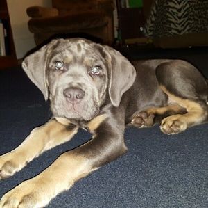 Meet your Posher, Charity