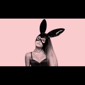 Meet your Posher, Atticus