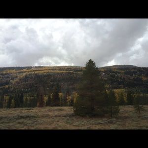 Meet your Posher, Sasha