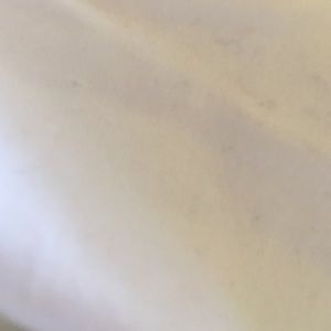 Meet your Posher, Sahar