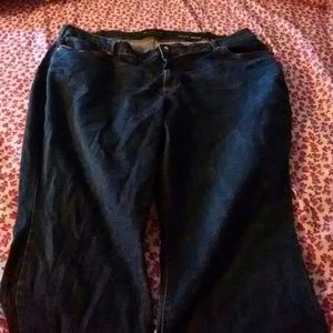 Plus size Petite lee modern series jeans